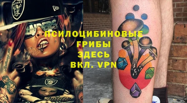 индика Зеленодольск