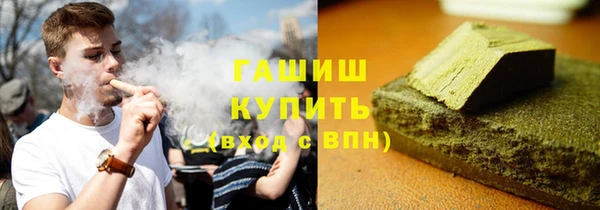 индика Зеленодольск
