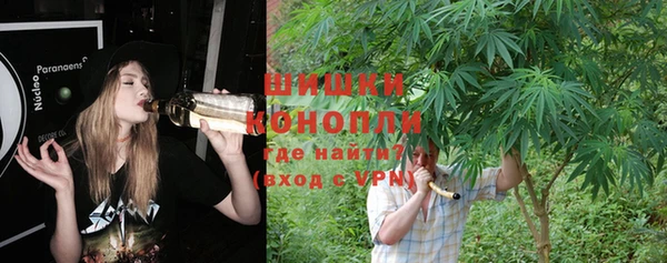 a pvp Заводоуковск