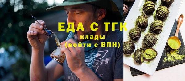 индика Зеленодольск