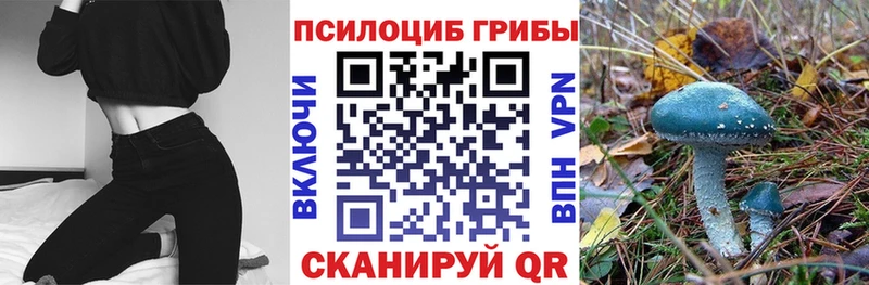 Галлюциногенные грибы мухоморы  Купить  Рассказово 